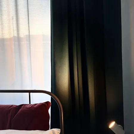 Miro 特雷维索