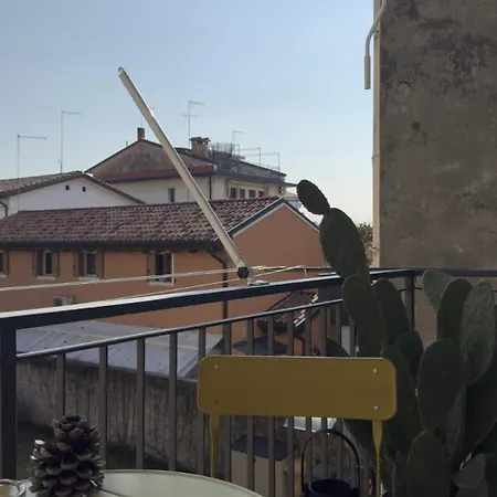 Miro * Treviso